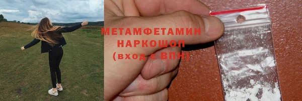гидра Карпинск