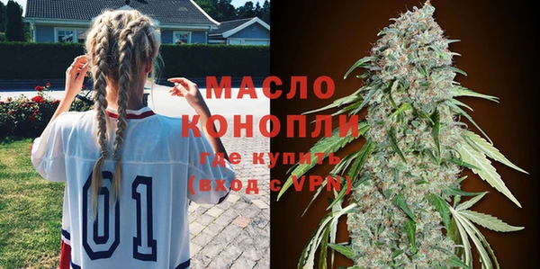 гидра Карпинск