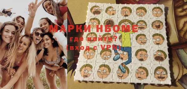 гидра Карпинск