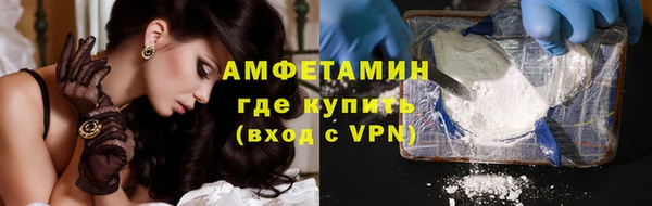 гидра Карпинск