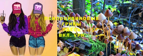 круглые Карталы