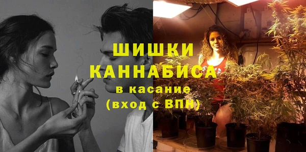 гидра Карпинск