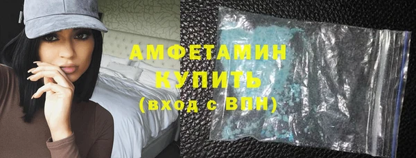гидра Карпинск