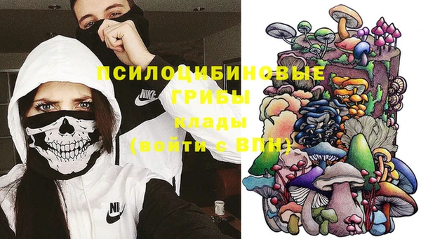 гидра Карпинск