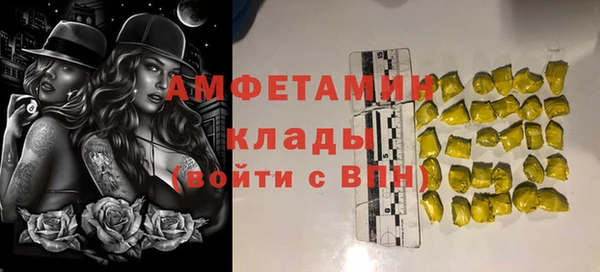 гидра Карпинск